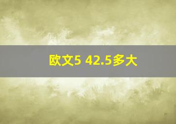 欧文5 42.5多大